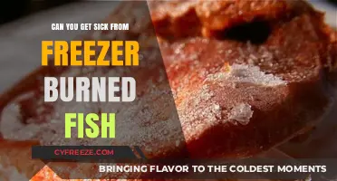Freezer Burned Fish: Safe to Eat or Health Risk?