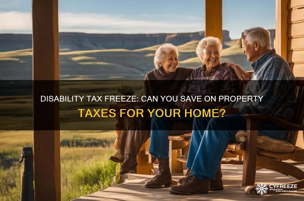can you get tax freeze for home if disability