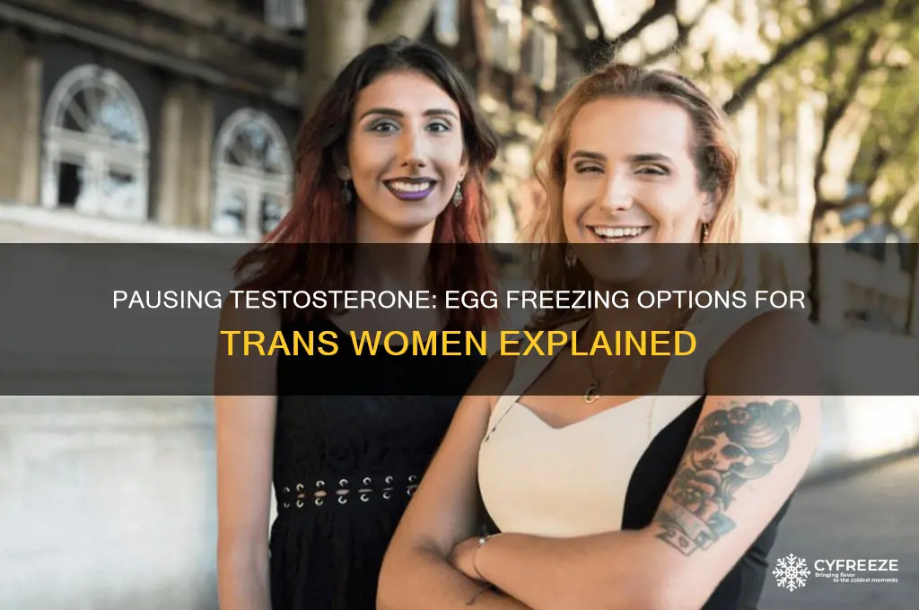 can you go off testerone to freeze your eggs