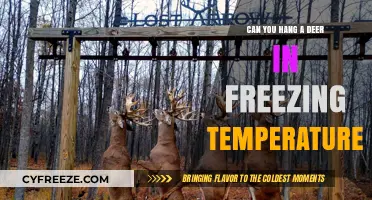 Hanging Deer in Freezing Temps: Best Practices for Venison Preservation
