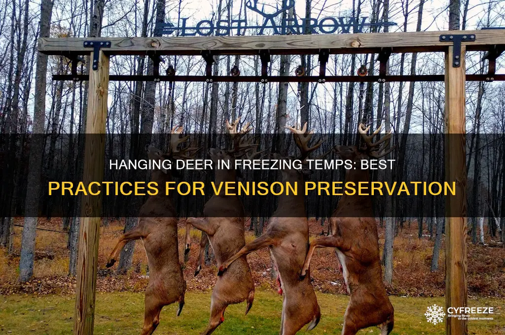 can you hang a deer in freezing temperatures