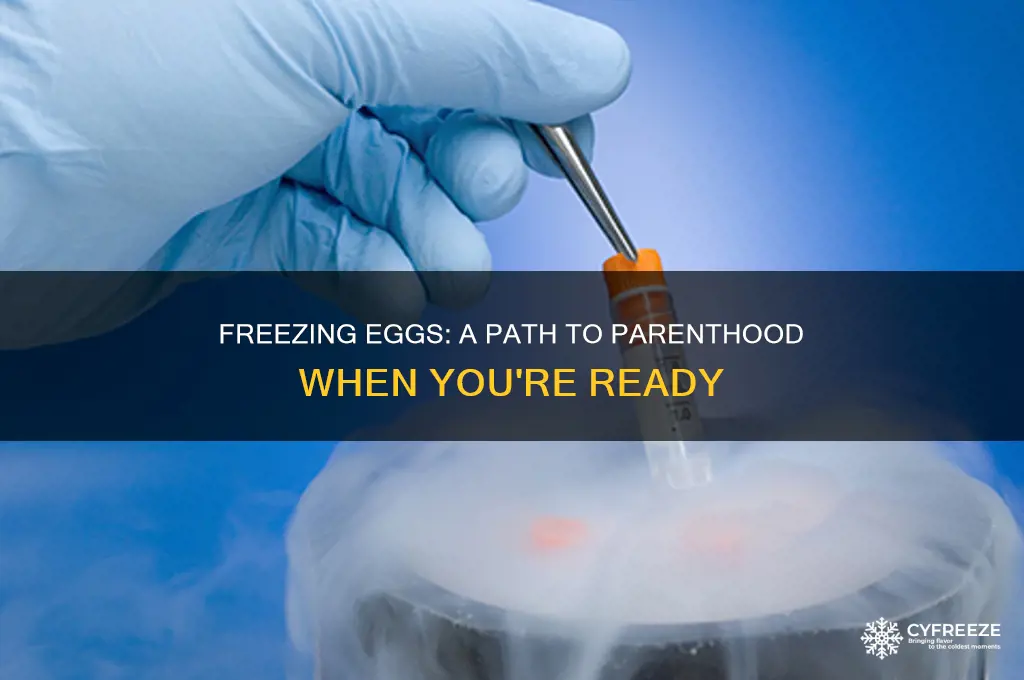 can you hav chidren freezing eggs