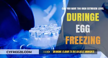 High Estrogen Levels During Egg Freezing: Risks and Considerations