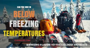Hiking in Sub-Zero Conditions: Essential Tips for Winter Adventures