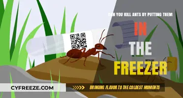 Chilling Truth: Freezing Ants - A Humane Pest Control Method?