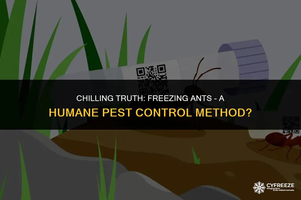 can you kill ants by putting them in the freezer