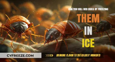 Chilling Solution: Freezing Bed Bugs to Death - Does It Work?