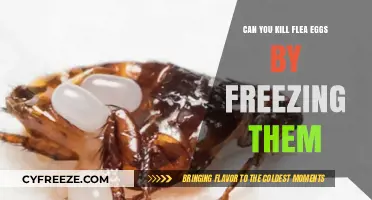 Freezing Flea Eggs: Effective Method to Kill Them or Myth?