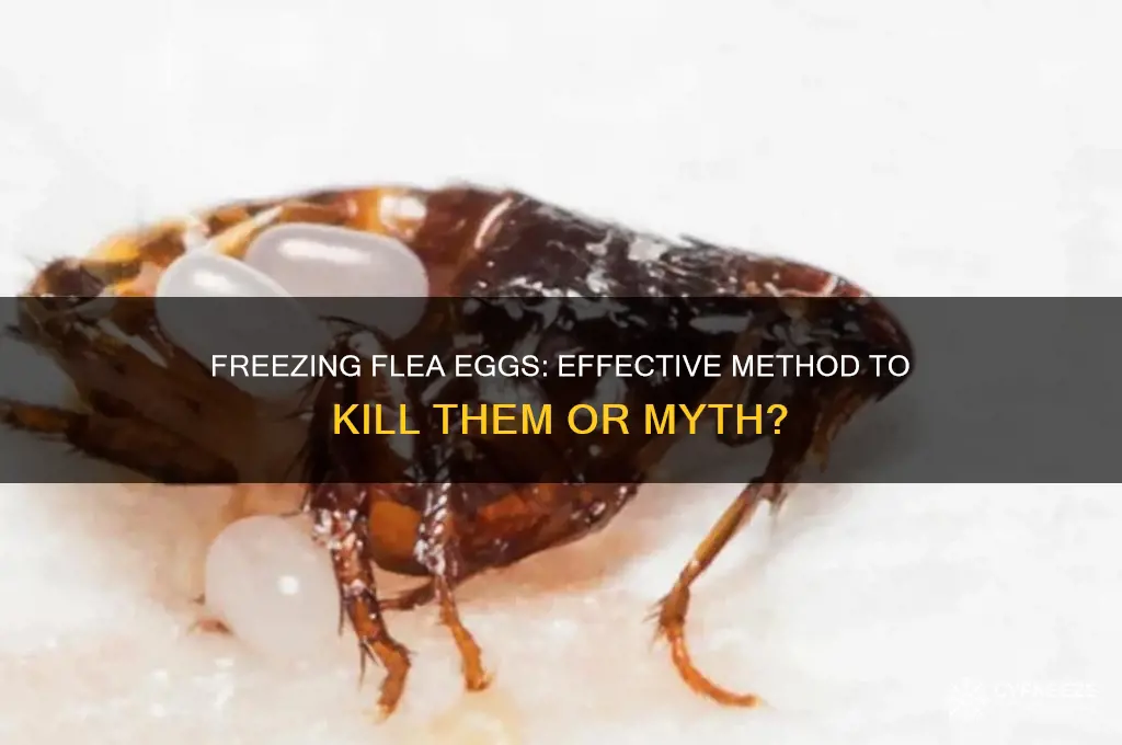 can you kill flea eggs by freezing them