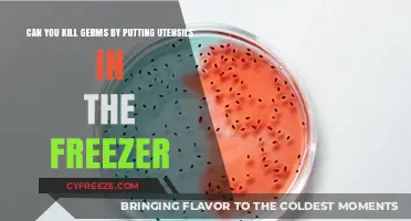 Chilling Truth: Freezing Utensils to Kill Germs - Does It Work?