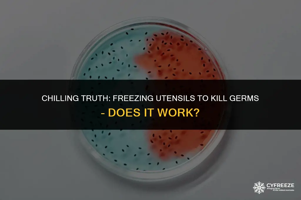 can you kill germs by putting utensils in the freezer