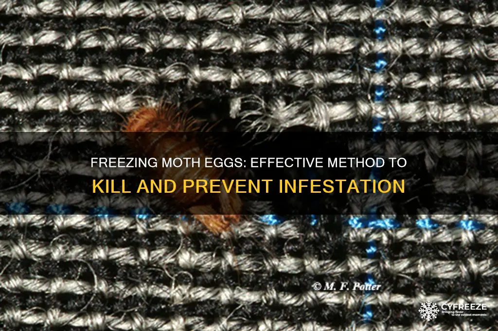 can you kill moth eggs by freezing