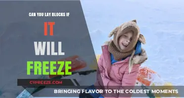 Will Freezing Temperatures Affect Your Block Laying Project?
