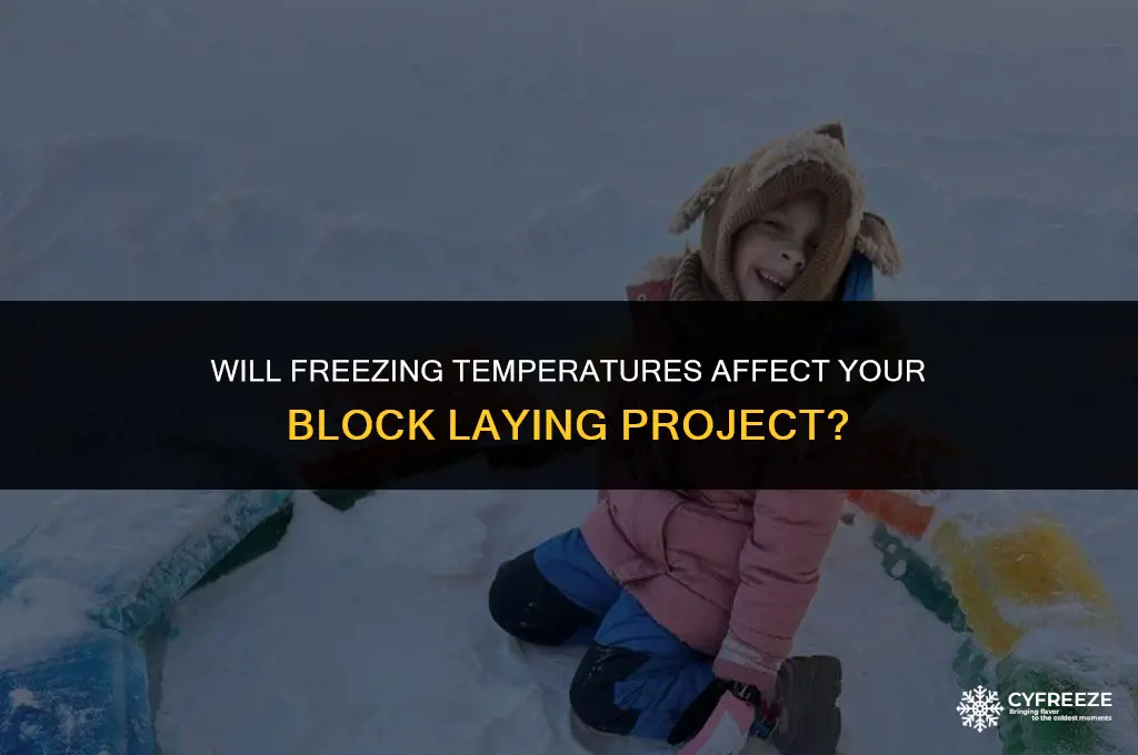 can you lay blocks if it will freeze