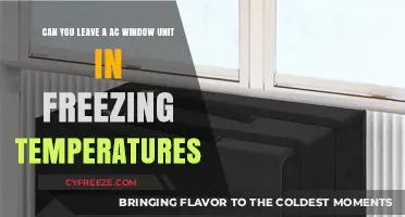 Can AC Window Units Survive Winter's Freeze? Expert Tips Inside