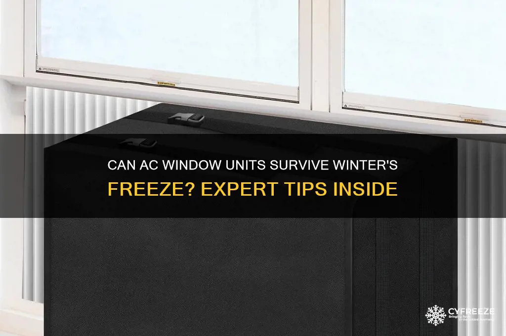can you leave a ac window unit in freezing temperatures