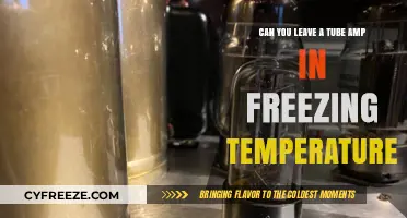 Can Tube Amps Survive Freezing Temps? Essential Winter Storage Tips
