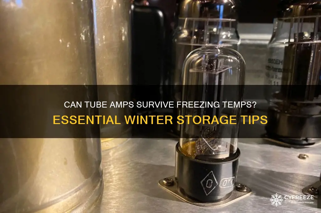 can you leave a tube amp in freezing temperatures