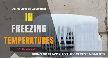 Can Air Conditioners Survive Freezing Temps? Expert Tips Revealed