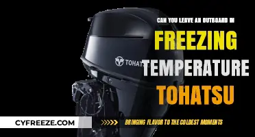 Can Outboards Handle Freezing Temps? Tohatsu Winter Storage Tips