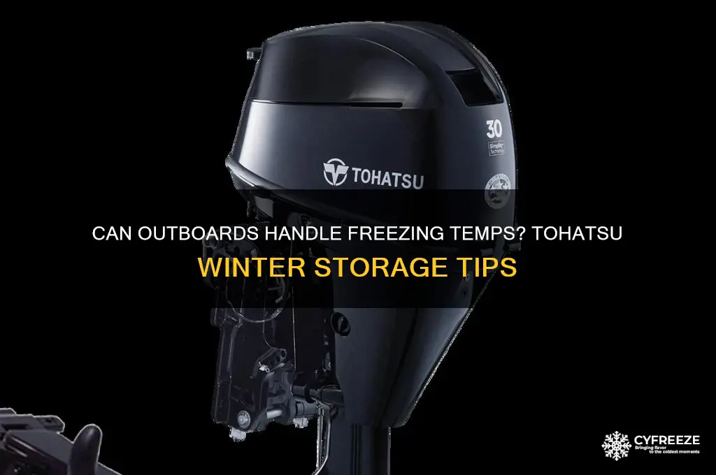 can you leave an outboard in freezing temperature tohatsu