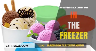 The Scoop on Ice Cream Storage: Freezer Facts Revealed