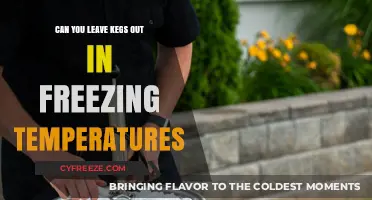 Can Kegs Survive Freezing Temps? Essential Tips for Outdoor Storage