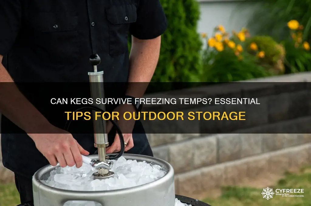 can you leave kegs out in freezing temperatures