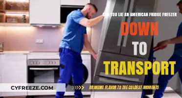 Transporting an American Fridge Freezer: Myths and Facts
