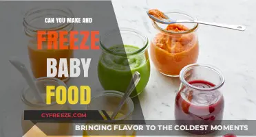 Homemade Baby Food: A Guide to Preparation and Freezing