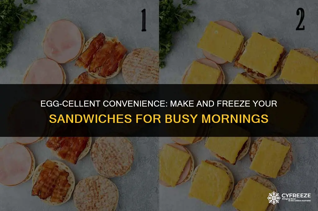 can you make and freeze egg sandwiches