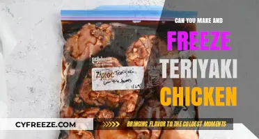 Delicious Teriyaki Chicken: Make Ahead and Freeze for Easy Meals