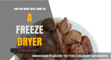 From Freezer to Snack: The Ultimate Guide to Making Beef Jerky in a Freeze Dryer