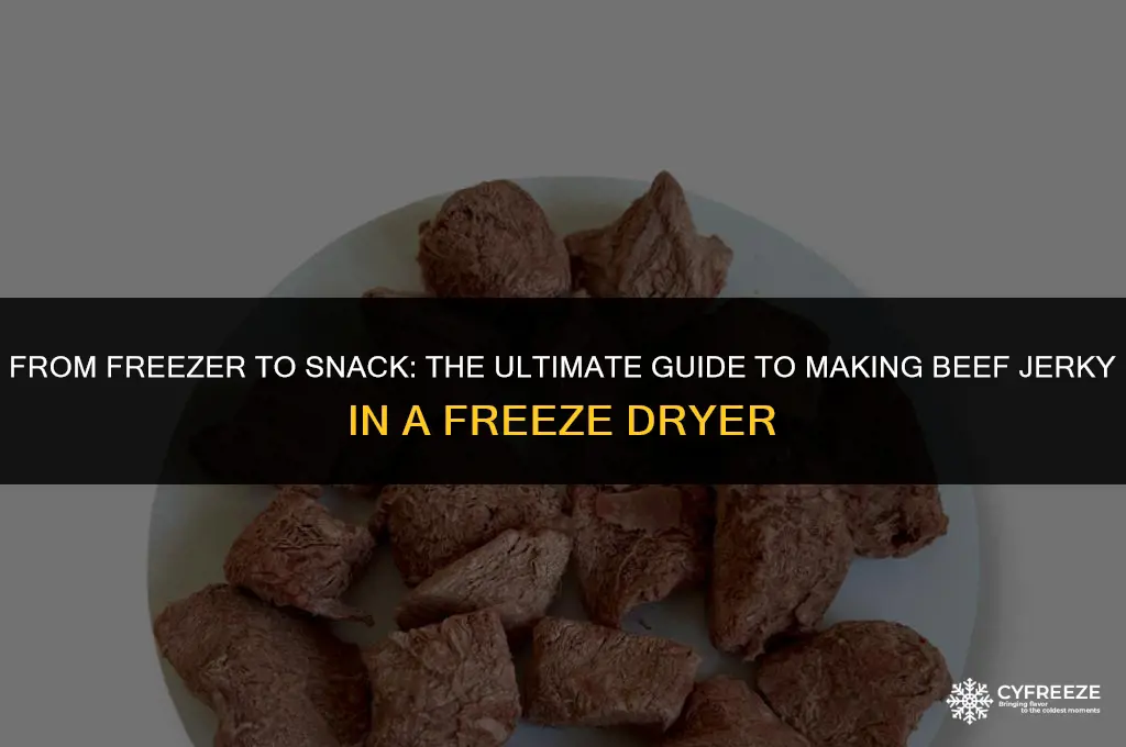 can you make beef jerky in a freeze dryer