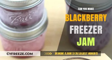 Sweet Preservation: The Ultimate Guide to Blackberry Freezer Jam