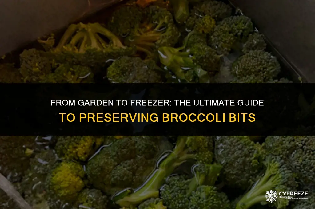 can you make broccolli bits and freeze
