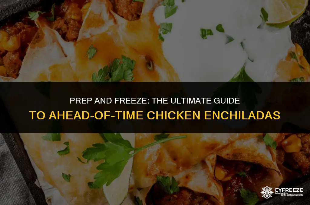 can you make chicken enchiladas ahead of time and freeze