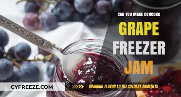 Sweet and Simple: Homemade Concord Grape Freezer Jam Recipe