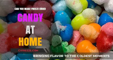 Sweet Preservation: The Art of Homemade Freeze-Dried Candy