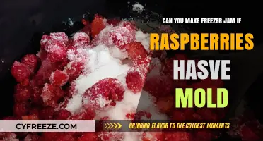 Moldy Raspberries: Can You Still Make Freezer Jam Safely?