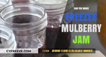 Sweet Preserve: Homemade Freezer Mulberry Jam Recipe