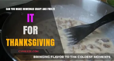 Homemade Gravy: Freezing Tips for a Stress-Free Thanksgiving Feast