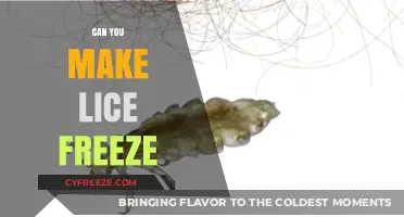 Chilling Facts: Can You Really Freeze Lice to Death?