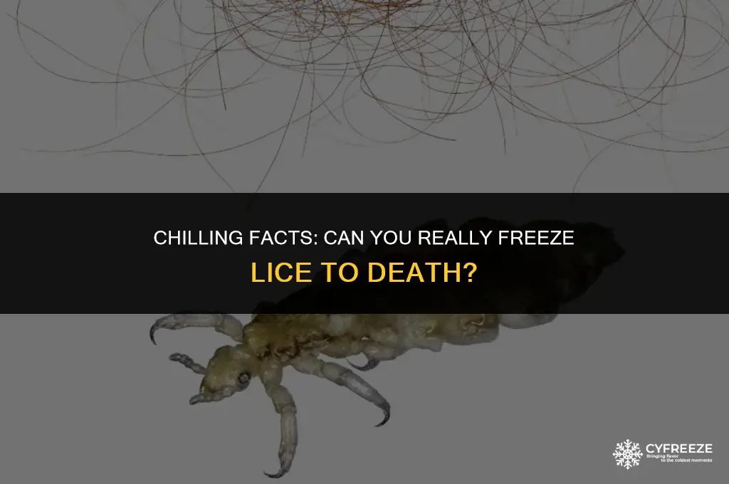 can you make lice freeze