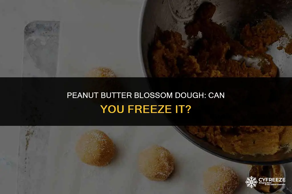 can you make peanut butterblossom dough freeze it