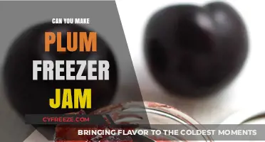 Sweet and Tart: The Ultimate Guide to Plum Freezer Jam