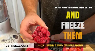 Smoothie Prep: The Ultimate Guide to Freezing Your Blended Delights