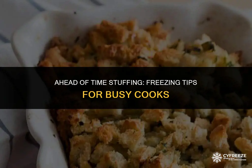 can you make stuffing ahead of time and freeze it