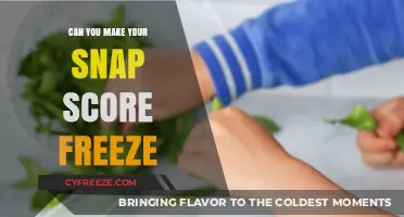 Snap Score Freeze: Myths, Facts, and Insider Tips Revealed