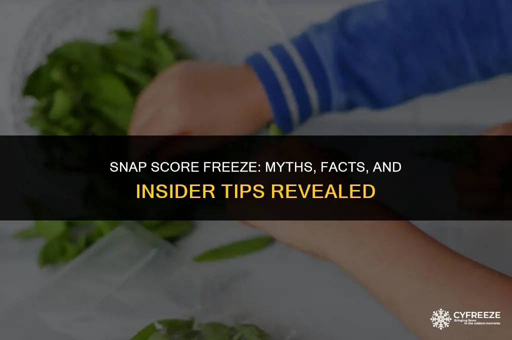 can you make your snap score freeze